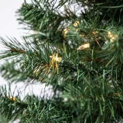 Best Pirce ❤️ 4ft. Pre-Lit Riverside Pine Artificial Christmas Tree, Clear Lights by Ashland® 🛒 -Ashland Sale Store 10555064 12