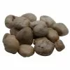 Coupon ✨ 16 Pack: Brown River Rocks by Ashland® 😍 -Ashland Sale Store 10556692 3 1