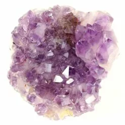 Wholesale 🔥 12 Pack: Amethyst Cluster by Ashland® 🤩 -Ashland Sale Store 10558677 2