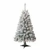 Best reviews of ✔️ 4ft. Pre-Lit Cypress Artificial 🎉 Christmas Tree, Clear Lights by Ashland® 🌟