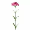 Best Sale 🤩 24 Pack: Hot Pink Carnation Stem by Ashland® 💯 -Ashland Sale Store 10626417 1
