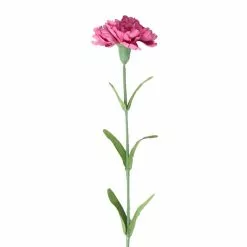 Best Sale 🤩 24 Pack: Hot Pink Carnation Stem by Ashland® 💯