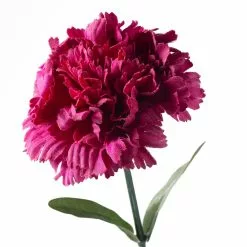 Best reviews of 🎁 Hot Pink Carnation Stem by Ashland® ⌛ 8 Best reviews of 🎁 Hot Pink Carnation Stem by Ashland® ⌛ -Ashland Sale Store 10626417 20
