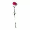 Best reviews of 🎁 Hot Pink Carnation Stem by Ashland® ⌛ -Ashland Sale Store 10626417 21