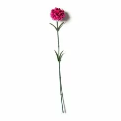 Best reviews of 🎁 Hot Pink Carnation Stem by Ashland® ⌛