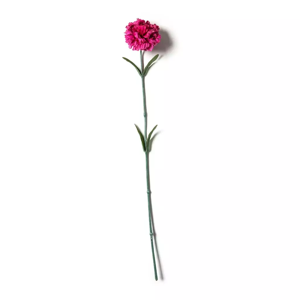 Best reviews of 🎁 Hot Pink Carnation Stem by Ashland® ⌛ 3 Best reviews of 🎁 Hot Pink Carnation Stem by Ashland® ⌛