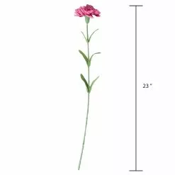 Best reviews of 🎁 Hot Pink Carnation Stem by Ashland® ⌛ 9 Best reviews of 🎁 Hot Pink Carnation Stem by Ashland® ⌛ -Ashland Sale Store 10626417 3