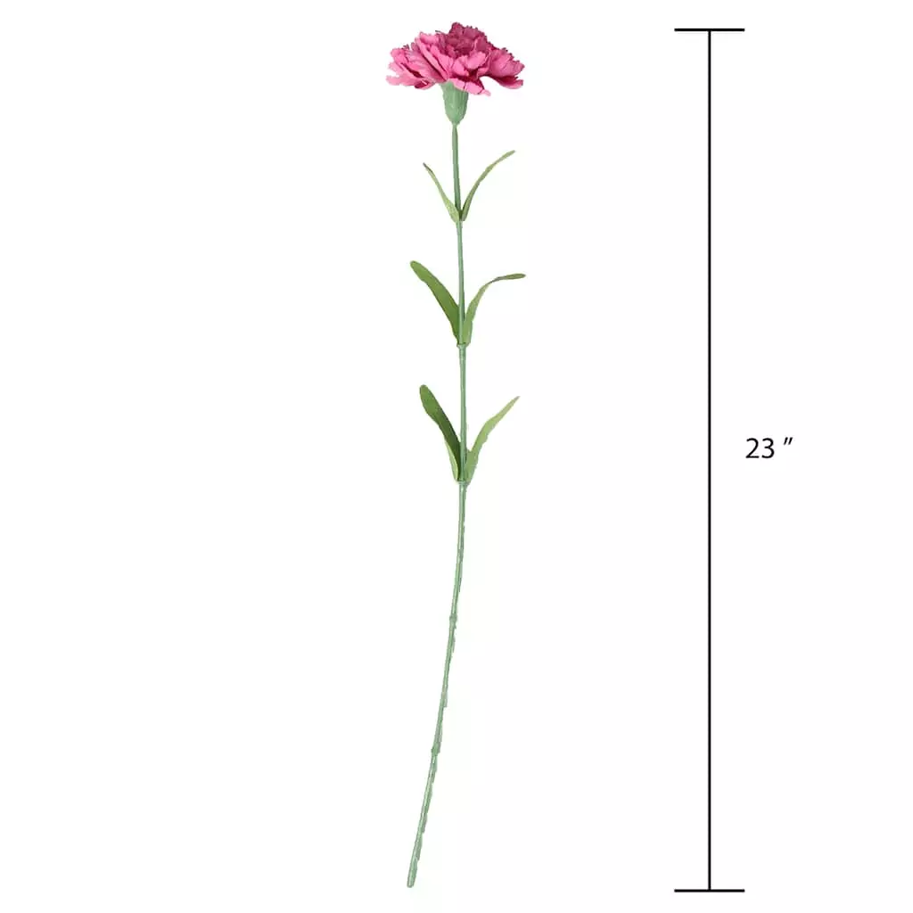 Best reviews of 🎁 Hot Pink Carnation Stem by Ashland® ⌛ 6 Best reviews of 🎁 Hot Pink Carnation Stem by Ashland® ⌛ - Image 4