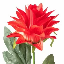 Best reviews of ❤️ Red Hops Stem by Ashland® ❤️ -Ashland Sale Store 10626421 20