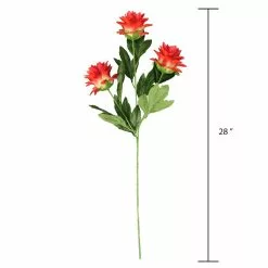 Best reviews of ❤️ Red Hops Stem by Ashland® ❤️ -Ashland Sale Store 10626421 3