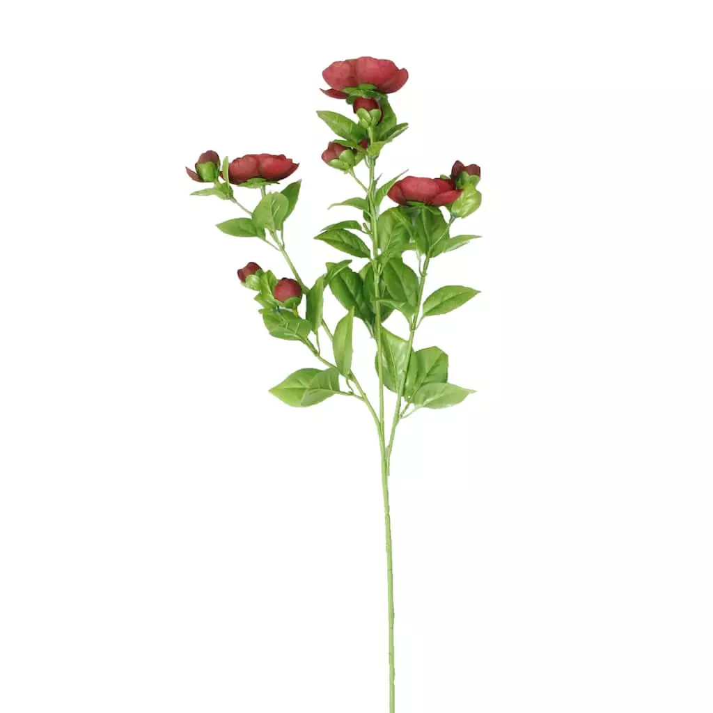 Promo 🎁 12 Pack: Burgundy Ranunculus Spray by Ashland® ⭐ 3 Promo 🎁 12 Pack: Burgundy Ranunculus Spray by Ashland® ⭐