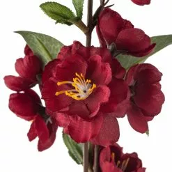 Buy 🧨 Burgundy Blossom Spray by Ashland® 🎁 -Ashland Sale Store 10626433 20
