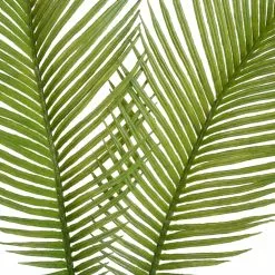 New 🎉 Green Sago Palm Stem by Ashland® 🎉 -Ashland Sale Store 10626443 2