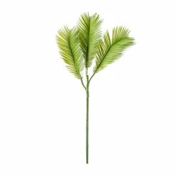 New 🎉 Green Sago Palm Stem by Ashland® 🎉