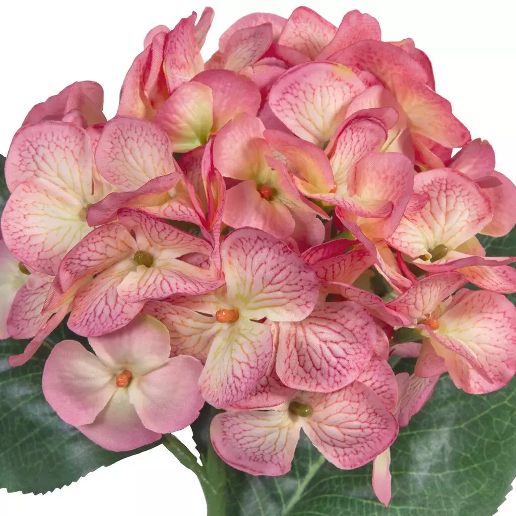 Hot Sale ๐งจ 12 Pack: Mauve Hydrangea Stem by Ashland® ๐ 4 Hot Sale ๐งจ 12 Pack: Mauve Hydrangea Stem by Ashland® ๐ - Image 2
