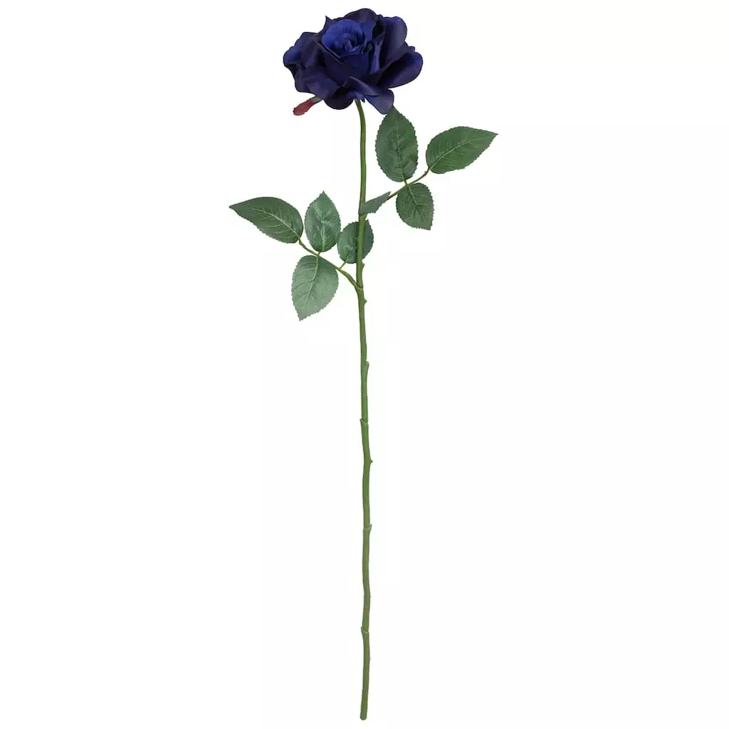 Best deal ๐ฅ Navy Princess Rose Stem by Ashland® ๐ฅ 3 Best deal ๐ฅ Navy Princess Rose Stem by Ashland® ๐ฅ