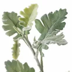 Best reviews of 🔥 Frosted Dusty Miller Spray Stem by Ashland® ⭐ -Ashland Sale Store 10626451 20