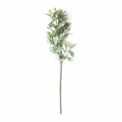 Best reviews of 🔥 Frosted Dusty Miller Spray Stem by Ashland® ⭐