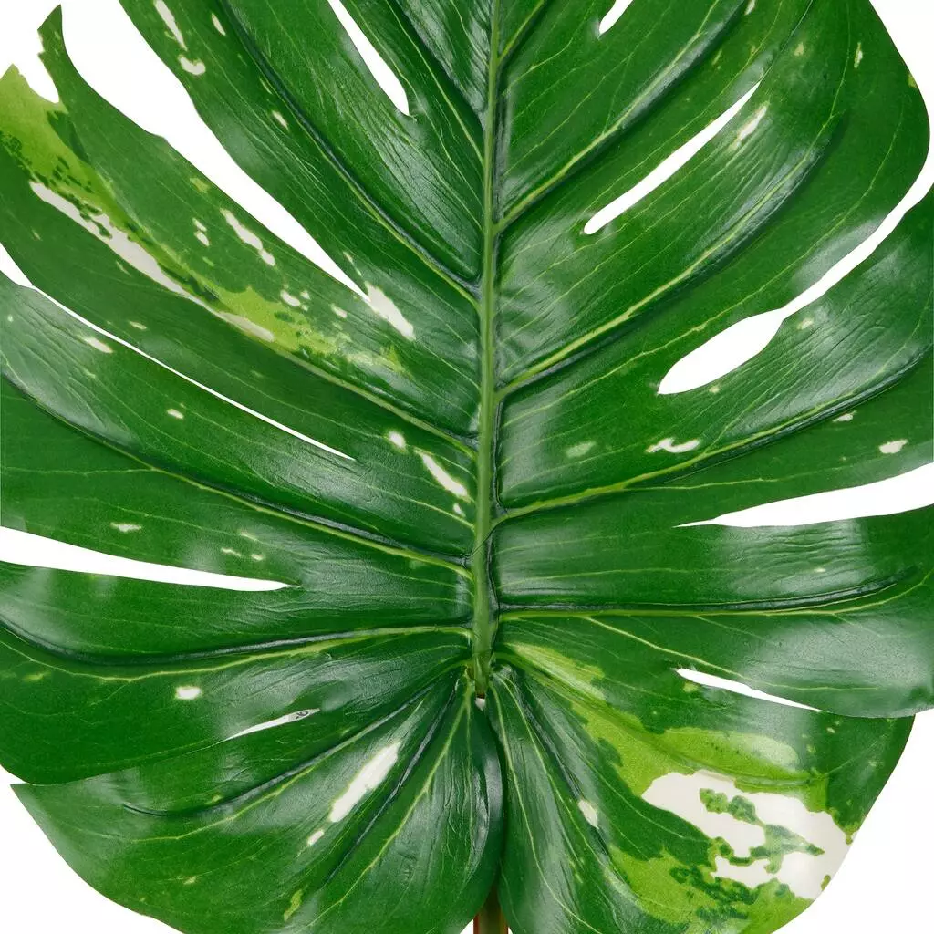 Best Pirce ✨ 12 Pack: Monstera Leaf Stem by Ashland® 🔔 4 Best Pirce ✨ 12 Pack: Monstera Leaf Stem by Ashland® 🔔 - Image 2