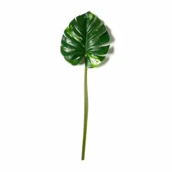 Best Sale 🎉 Monstera Leaf Stem by Ashland® 🔥