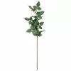 Top 10 🤩 12 Pack: Rose Leaf Stem by Ashland® 🧨 -Ashland Sale Store 10626471 1