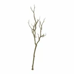 Deals ⌛ Bare Birch Branch by Ashland® ⌛