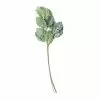 Wholesale ⌛ Green Dusty Miller Stem by Ashland® 🎉 -Ashland Sale Store 10626483 21
