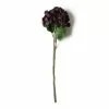 Best reviews of 😉 Black & Purple Hydrangea Stem by Ashland® 💯