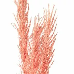 Promo ✨ Peach Pampas Grass Stem by Ashland® 🥰 -Ashland Sale Store 10626520 20