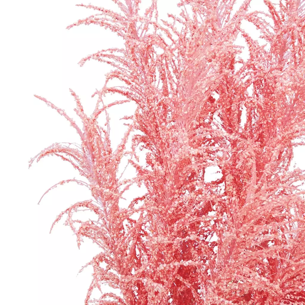 Best deal ๐ 6 Pack: Peach Pampas Grass Stem by Ashland® ๐ 4 Best deal ๐ 6 Pack: Peach Pampas Grass Stem by Ashland® ๐ - Image 2