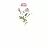 Coupon ✨ 12 Pack: Pink Ranunculus Spray by Ashland® ✔️ -Ashland Sale Store 10626529 1 1