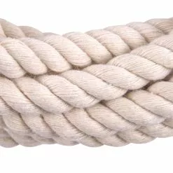 Flash Sale 👏 15ft. Ivory Rope by Ashland® ⭐ 7 Flash Sale 👏 15ft. Ivory Rope by Ashland® ⭐ -Ashland Sale Store 10626556 2