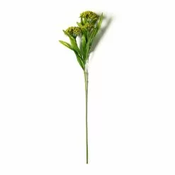 Discount 💯 Green Queen Anne's Lace Stem by Ashland® ❤️