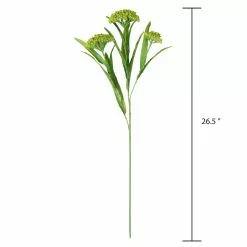 Discount 💯 Green Queen Anne's Lace Stem by Ashland® ❤️ -Ashland Sale Store 10626560 3
