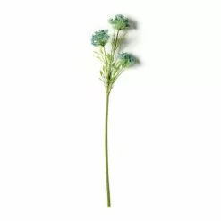 Buy ✔️ Blue Queen Anne's Lace Stem by Ashland® ❤️