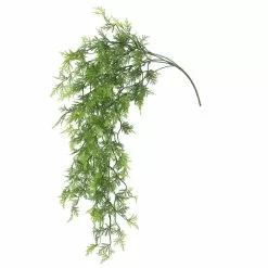 Cheap ⭐ 6 Pack: Green Hanging Fern Bush by Ashland® 😍