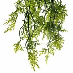 Cheap ⭐ 6 Pack: Green Hanging Fern Bush by Ashland® 😍 -Ashland Sale Store 10626844 20 1