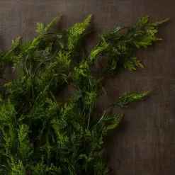 Best reviews of 🌟 Green Hanging Fern Bush by Ashland® ✨ -Ashland Sale Store 10626844 25