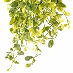 Flash Sale 🛒 6 Pack: Green Hanging Smilax Bush by Ashland® ✨ -Ashland Sale Store 10626846 20 1