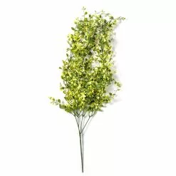 Flash Sale 🛒 6 Pack: Green Hanging Smilax Bush by Ashland® ✨ -Ashland Sale Store 10626846 21 1