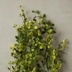 Flash Sale 🛒 6 Pack: Green Hanging Smilax Bush by Ashland® ✨ -Ashland Sale Store 10626846 25 1