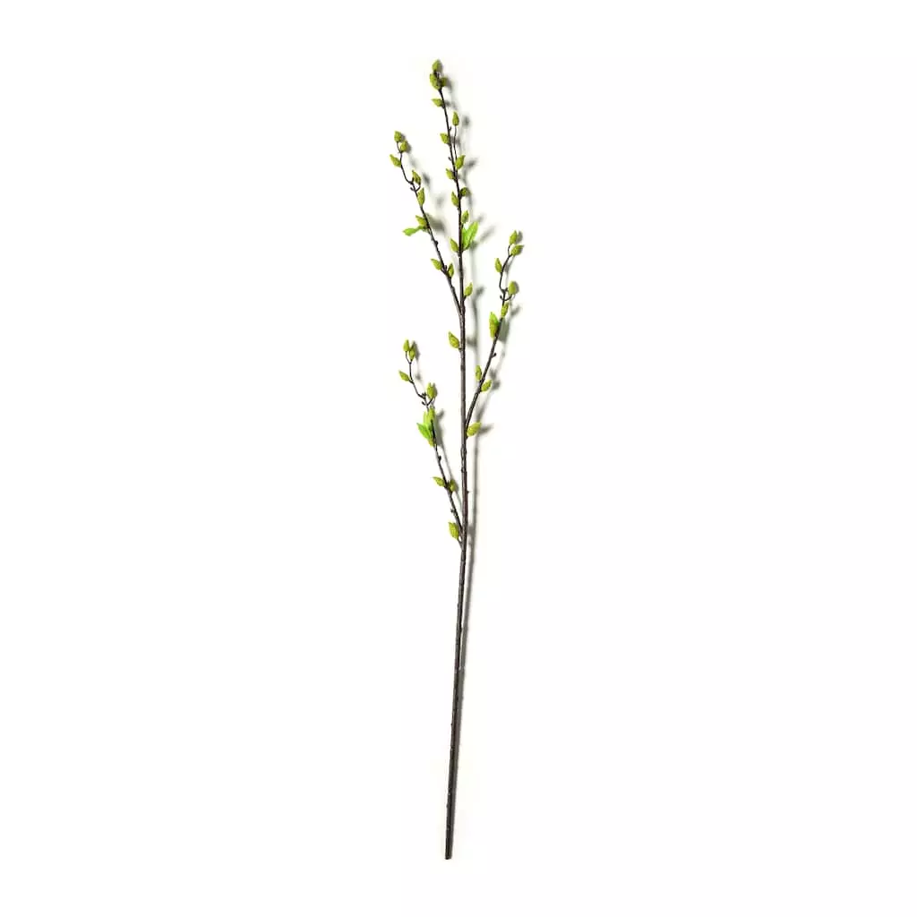 Top 10 😍 Green Willow Stem by Ashland® ⭐ 3 Top 10 😍 Green Willow Stem by Ashland® ⭐