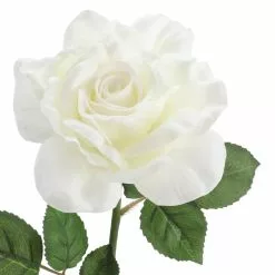 Deals 😀 6 Pack: White Rose Stem by Ashland® ✔️ -Ashland Sale Store 10626862 3