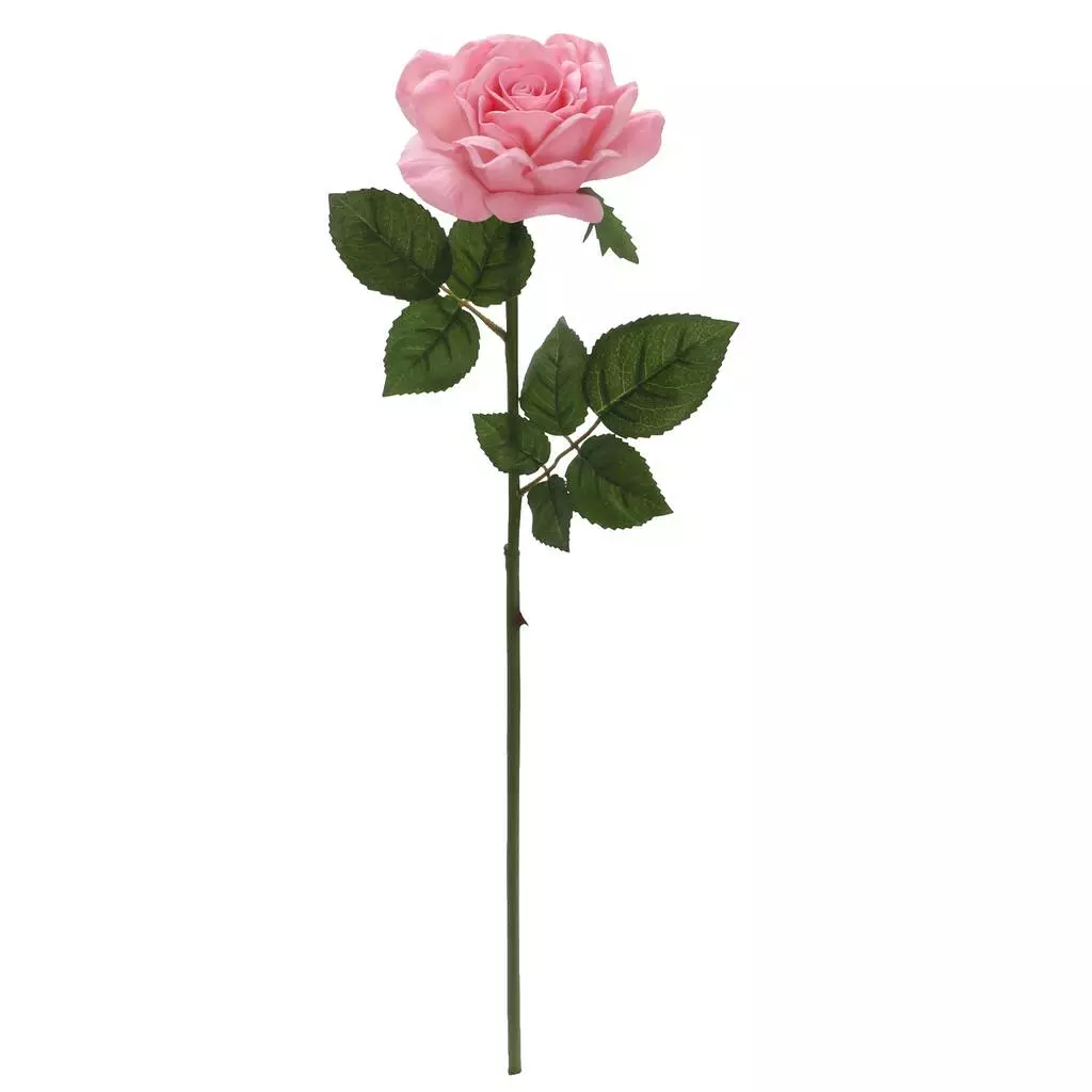 Discount 👍 6 Pack: Blush Rose Stem by Ashland® 🔔 3 Discount 👍 6 Pack: Blush Rose Stem by Ashland® 🔔