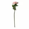 Cheap ⌛ Blush Rose Stem by Ashland® 👏 2 Cheap ⌛ Blush Rose Stem by Ashland® 👏 -Ashland Sale Store 10626864 21