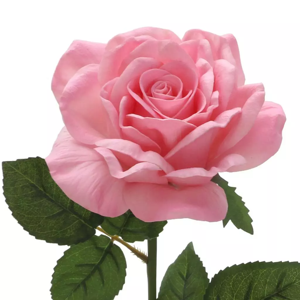 Discount 👍 6 Pack: Blush Rose Stem by Ashland® 🔔 4 Discount 👍 6 Pack: Blush Rose Stem by Ashland® 🔔 - Image 2