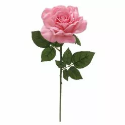 Discount 👍 6 Pack: Blush Rose Stem by Ashland® 🔔 10 Discount 👍 6 Pack: Blush Rose Stem by Ashland® 🔔 -Ashland Sale Store 10626864 4