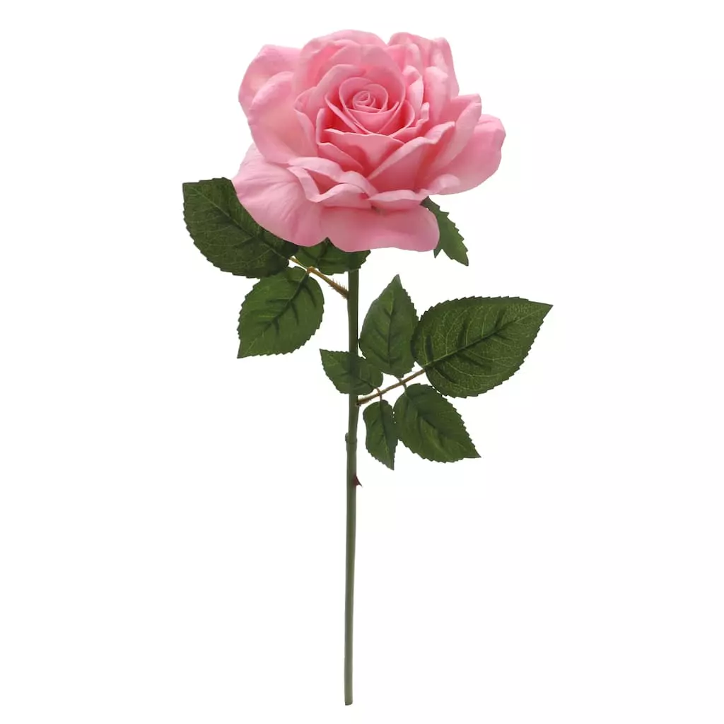 Discount 👍 6 Pack: Blush Rose Stem by Ashland® 🔔 5 Discount 👍 6 Pack: Blush Rose Stem by Ashland® 🔔 - Image 3