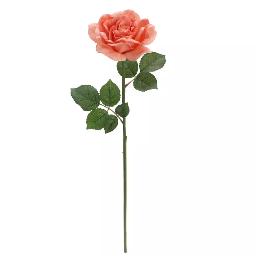Top 10 ❤️ 6 Pack: Coral Rose Stem by Ashland® ⌛ 3 Top 10 ❤️ 6 Pack: Coral Rose Stem by Ashland® ⌛