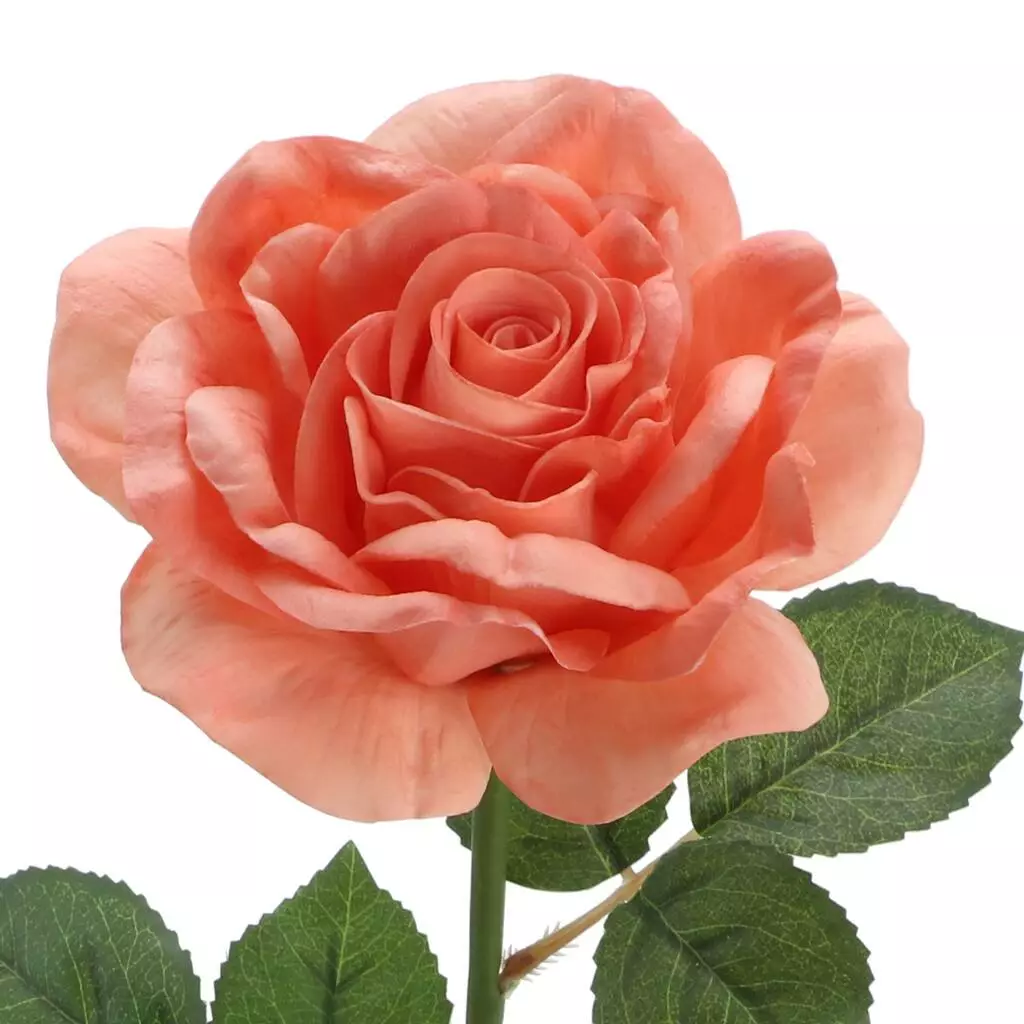 Top 10 ❤️ 6 Pack: Coral Rose Stem by Ashland® ⌛ 4 Top 10 ❤️ 6 Pack: Coral Rose Stem by Ashland® ⌛ - Image 2